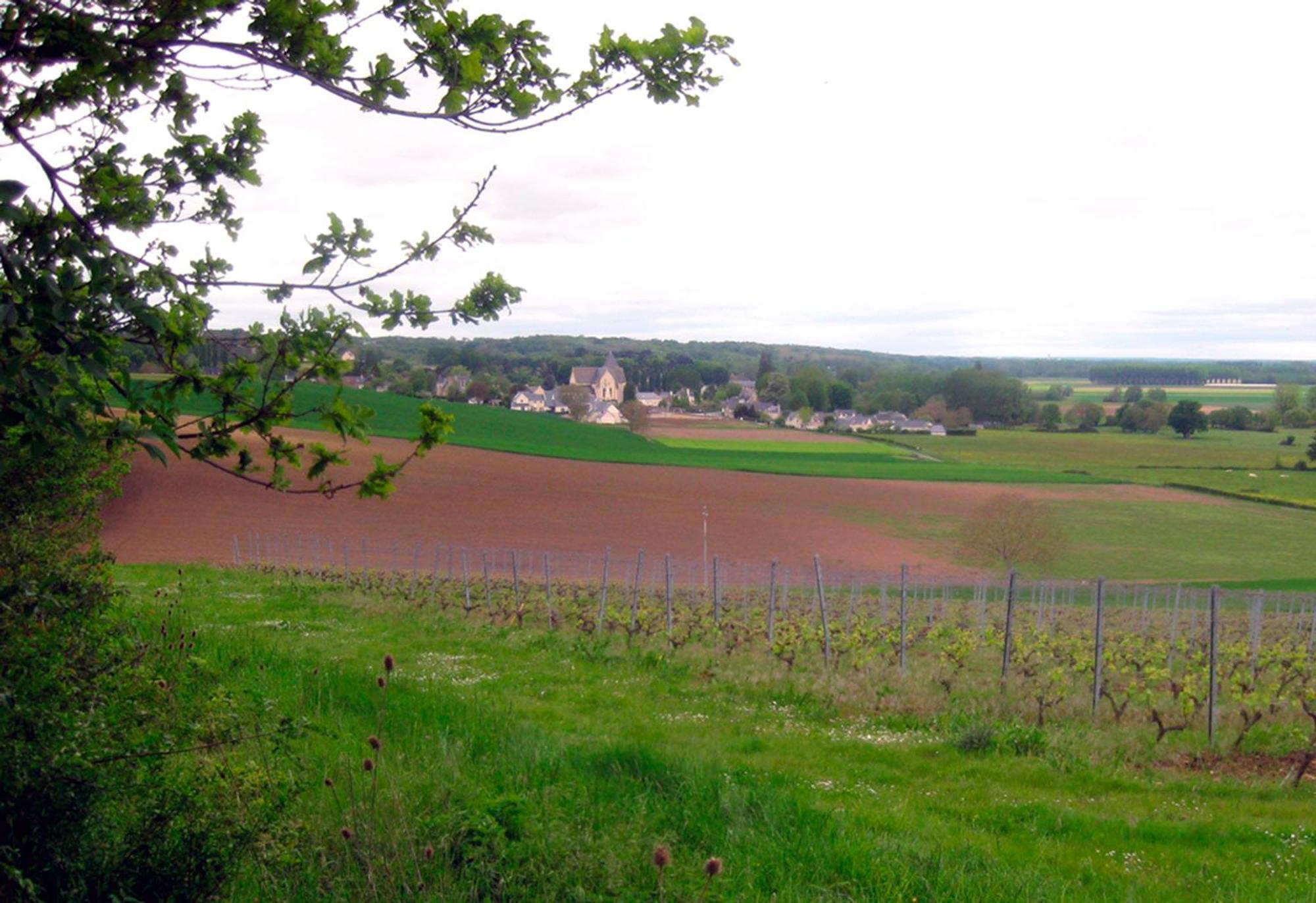 Bed and Breakfast La Butte de Gohier Blaison Exterior foto