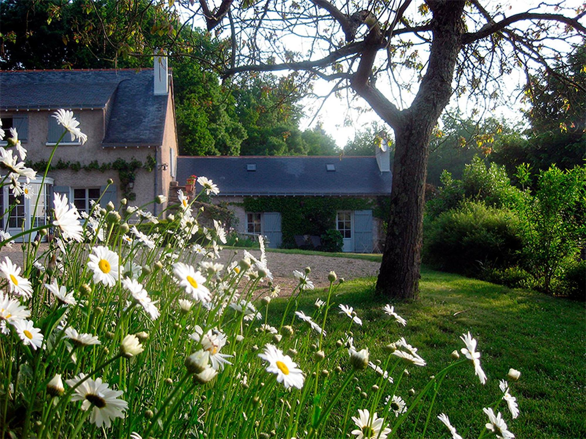 Bed and Breakfast La Butte de Gohier Blaison Exterior foto