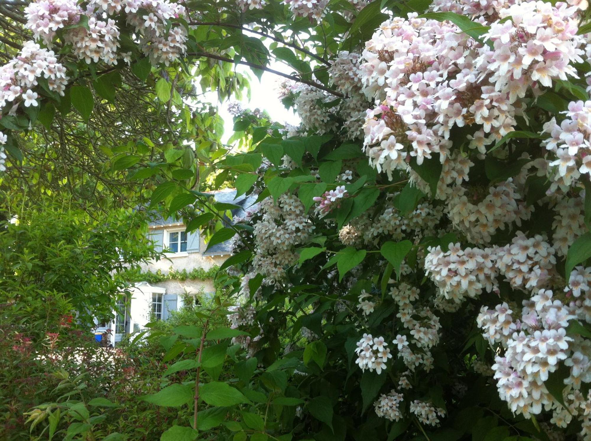 Bed and Breakfast La Butte de Gohier Blaison Exterior foto